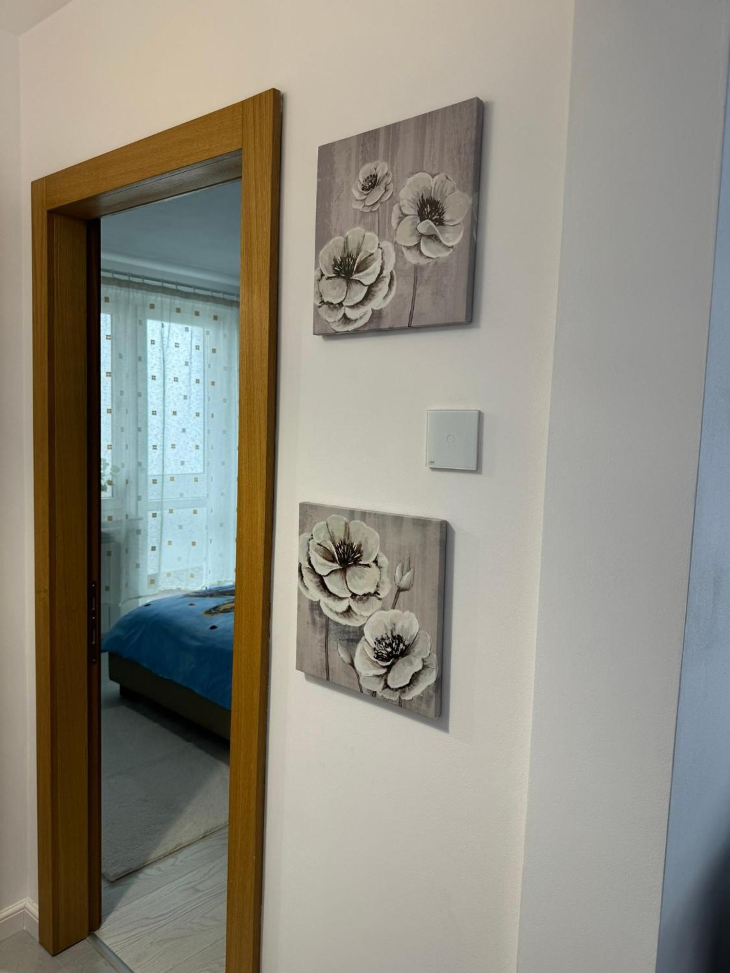 Apartament Central Ramnicu Valcea